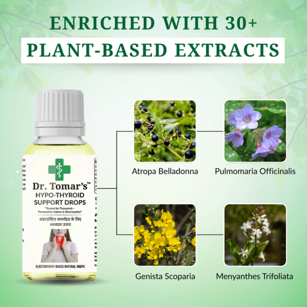 Thyroid Support Drops