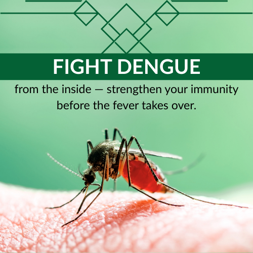 fight dengue