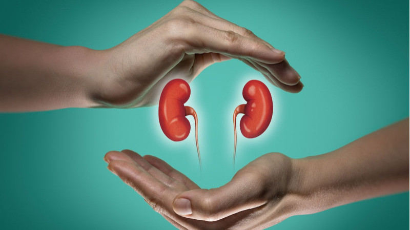 renal (kidney)failure