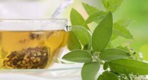 herbal cholesterol management,Cholesterol Support