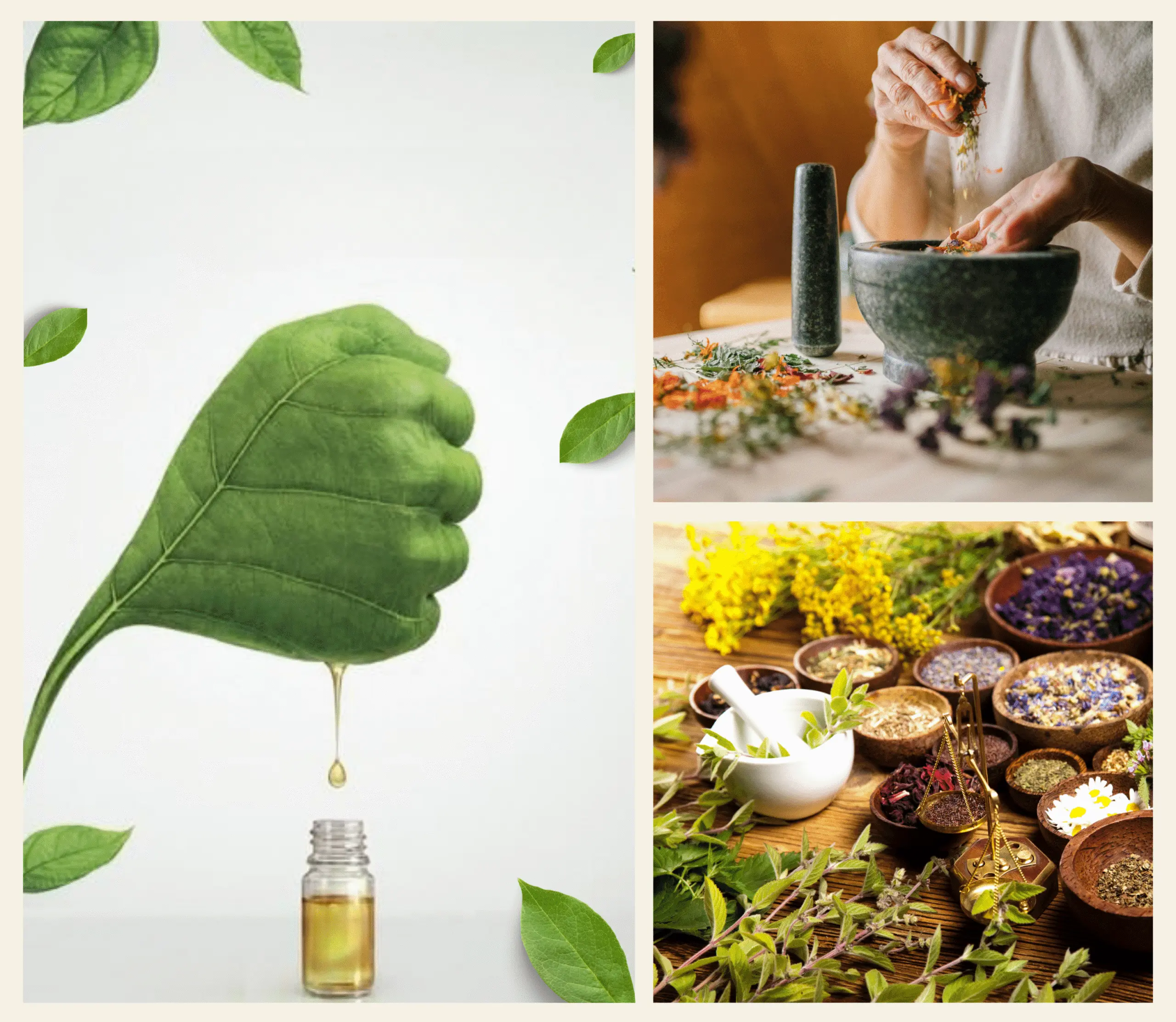 Dr. Tomar's Wellness,Electropathy,Electro Homeopathy